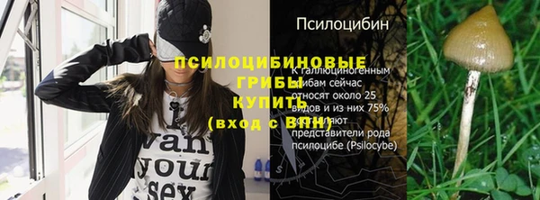 круглые Арсеньев