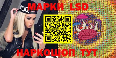СК Камышлов