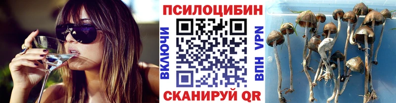 ОМГ ОМГ онион где купить наркоту Тобольск Галлюциногенные грибы Cubensis