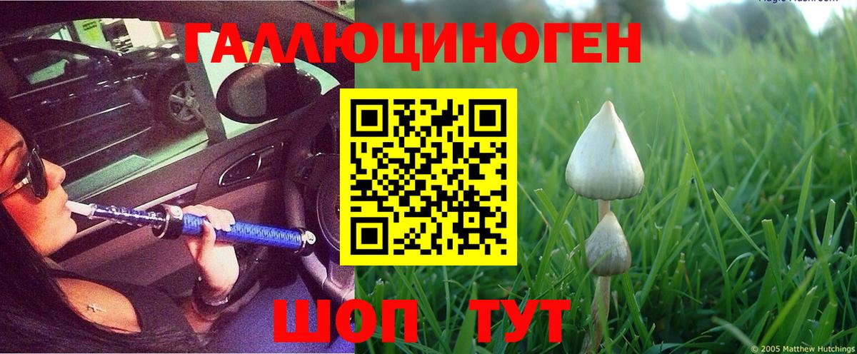 Псилоцибиновые грибы Magic Shrooms  Вход с VPN  Тобольск 