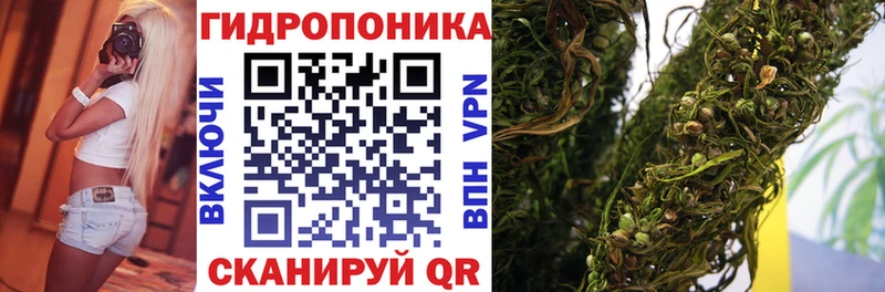 как найти закладки  Тобольск  Бошки марихуана марихуана 